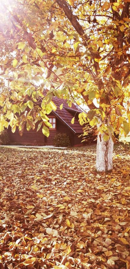סמולג'אנאק Wooden House Nela Near Plitvice Lakes מראה חיצוני תמונה