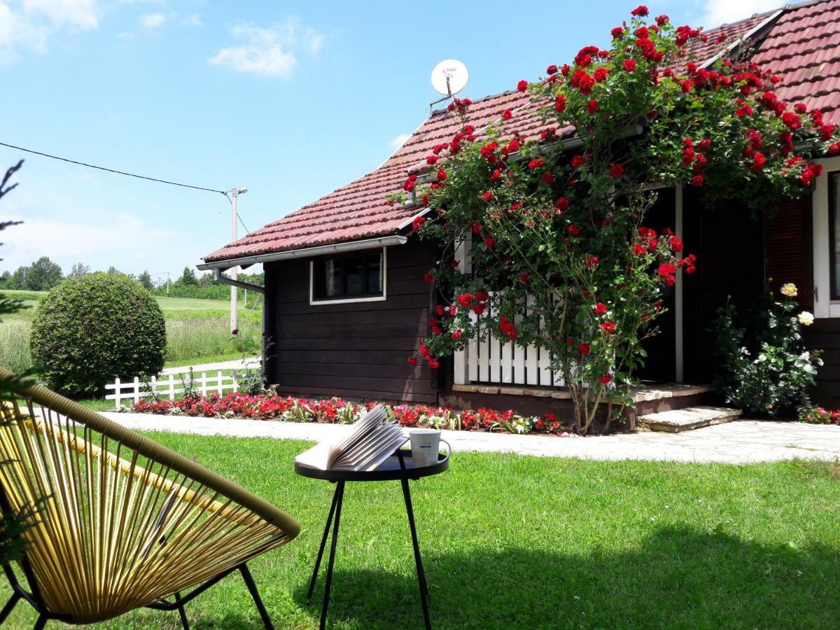 סמולג'אנאק Wooden House Nela Near Plitvice Lakes מראה חיצוני תמונה